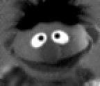 ernie.gif (10104 bytes)